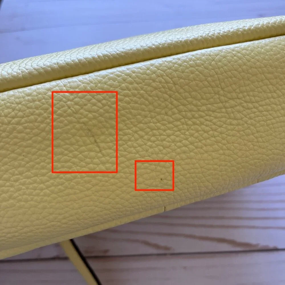 Radley London Rivington Medium Crossbody Bag Yellow - NEW WITH COSMETIC DEFECT - Picture 11 of 11